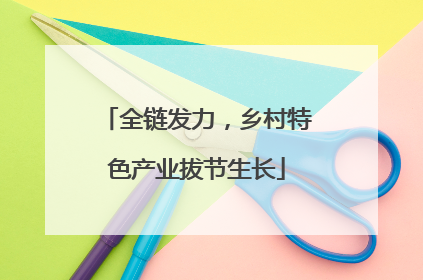 全链发力，乡村特色产业拔节生长