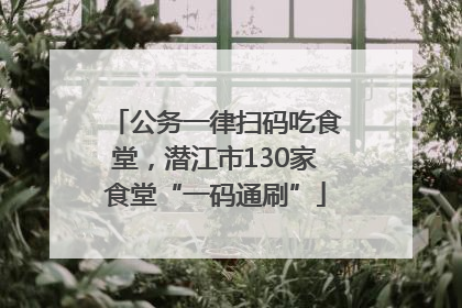 公务一律扫码吃食堂，潜江市130家食堂“一码通刷”