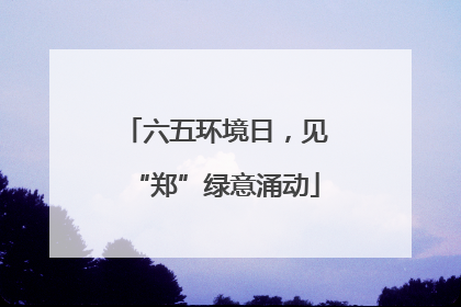 六五环境日，见“郑”绿意涌动