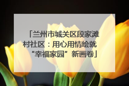 兰州市城关区段家滩村社区：用心用情绘就“幸福家园”新画卷