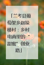 兰考县葡萄架乡赵垛楼村：乡村电商里的“甜蜜”创业路