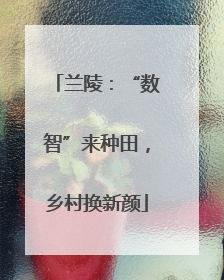 兰陵：“数智”来种田，乡村换新颜