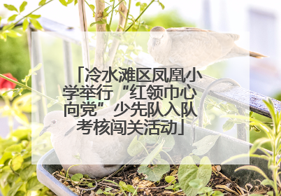 冷水滩区凤凰小学举行“红领巾心向党”少先队入队考核闯关活动