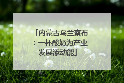 内蒙古乌兰察布：一杯酸奶为产业发展添动能