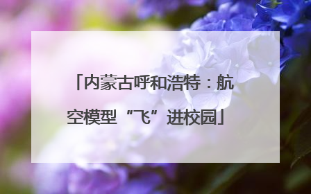 内蒙古呼和浩特：航空模型“飞”进校园