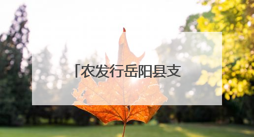 农发行岳阳县支行开展“6·14信用记录关爱日” 专题宣传活动