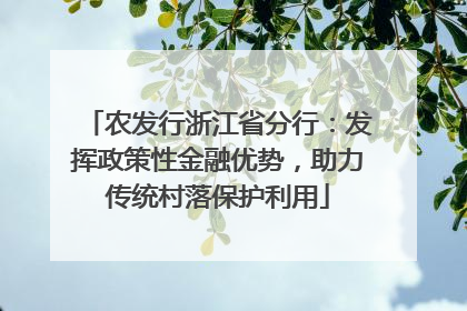 农发行浙江省分行：发挥政策性金融优势，助力传统村落保护利用