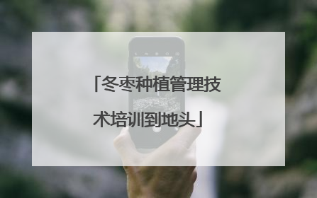 冬枣种植管理技术培训到地头