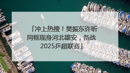 冲上热搜！樊振东许昕同框现身河北雄安，备战2025乒超联赛