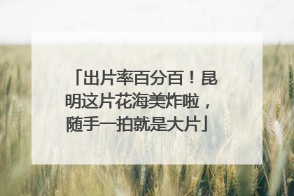 出片率百分百！昆明这片花海美炸啦，随手一拍就是大片
