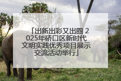 出新出彩又出圈 2025年硚口区新时代文明实践优秀项目展示交流活动举行