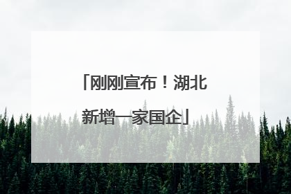 刚刚宣布！湖北新增一家国企