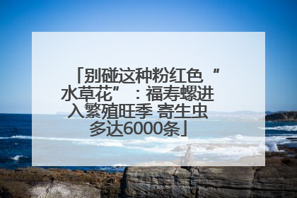 别碰这种粉红色“水草花”：福寿螺进入繁殖旺季 寄生虫多达6000条