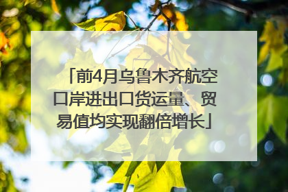 前4月乌鲁木齐航空口岸进出口货运量、贸易值均实现翻倍增长