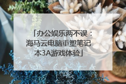 办公娱乐两不误：海马云电脑重塑笔记本3A游戏体验