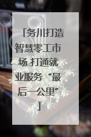 务川打造智慧零工市场 打通就业服务“最后一公里”