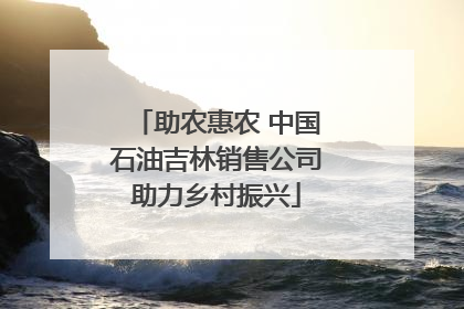 助农惠农 中国石油吉林销售公司助力乡村振兴