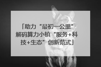 助力“最初一公里” 解码算力小镇“服务+科技+生态”创新范式