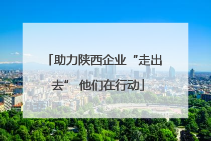 助力陕西企业“走出去” 他们在行动