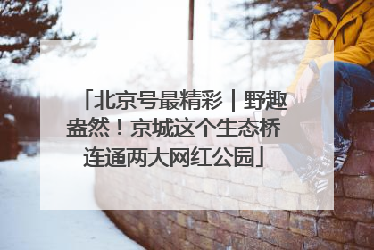 北京号最精彩｜野趣盎然！京城这个生态桥连通两大网红公园