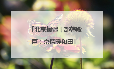 北京援疆干部韩殿臣：京情暖和田