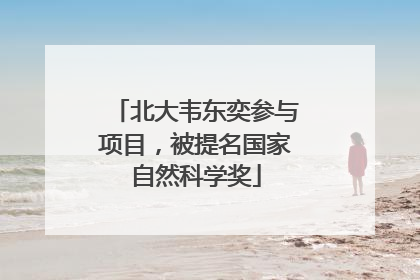 北大韦东奕参与项目，被提名国家自然科学奖