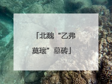 北魏“乙弗莫瓌”墓砖