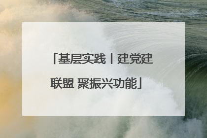 基层实践丨建党建联盟 聚振兴功能