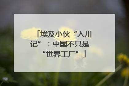 埃及小伙“入川记”：中国不只是“世界工厂”