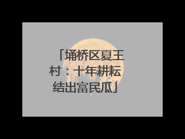 埇桥区夏王村：十年耕耘结出富民瓜