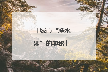 城市“净水器”的奥秘