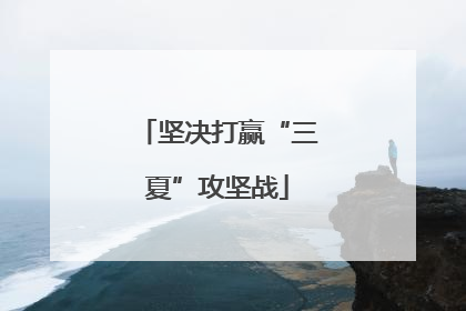 坚决打赢“三夏”攻坚战