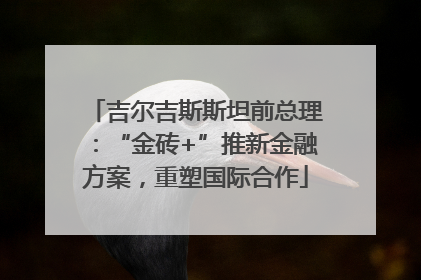 吉尔吉斯斯坦前总理：“金砖+”推新金融方案，重塑国际合作