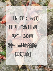 同江：豆角住进“双排别墅” 30亩种植基地的跨国订单