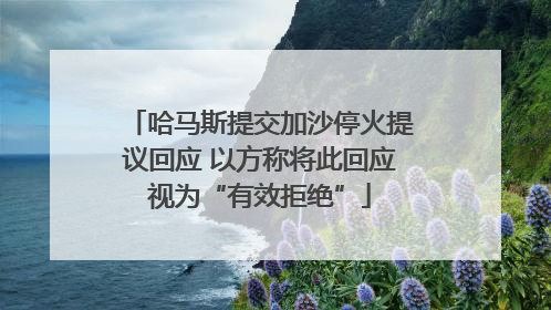 哈马斯提交加沙停火提议回应 以方称将此回应视为“有效拒绝”