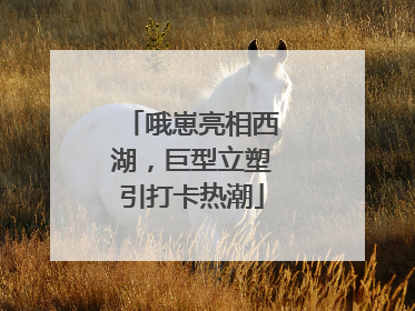 哦崽亮相西湖，巨型立塑引打卡热潮