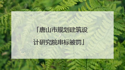 唐山市规划建筑设计研究院串标被罚
