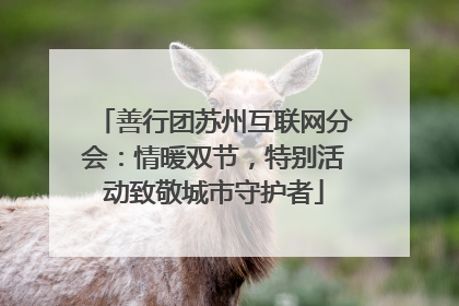 善行团苏州互联网分会：情暖双节，特别活动致敬城市守护者