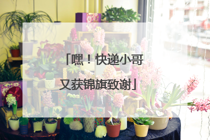 嘿！快递小哥又获锦旗致谢