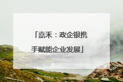 嘉禾：政企银携手赋能企业发展