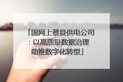 国网上蔡县供电公司：以高质量数据治理 助推数字化转型