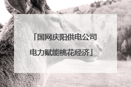 国网庆阳供电公司电力赋能桃花经济