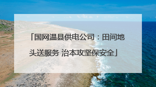 国网温县供电公司：田间地头送服务 治本攻坚保安全