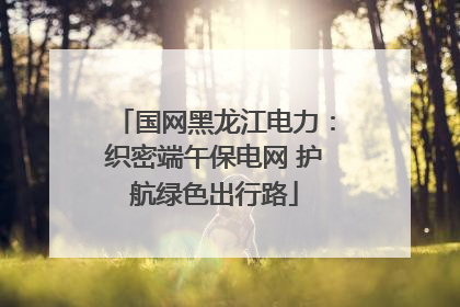 国网黑龙江电力：织密端午保电网 护航绿色出行路