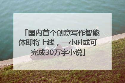 国内首个创意写作智能体即将上线，一小时或可完成30万字小说