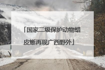 国家二级保护动物蜡皮蜥再现广西野外