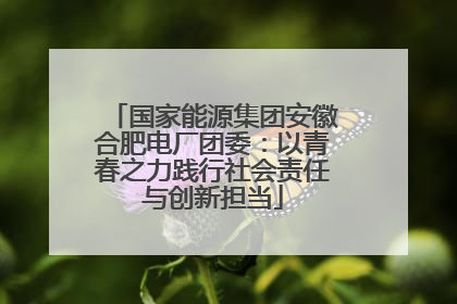 国家能源集团安徽合肥电厂团委：以青春之力践行社会责任与创新担当