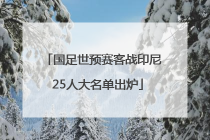 国足世预赛客战印尼25人大名单出炉