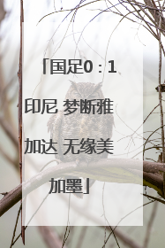 国足0∶1印尼 梦断雅加达 无缘美加墨