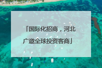 国际化招商，河北广邀全球投资客商